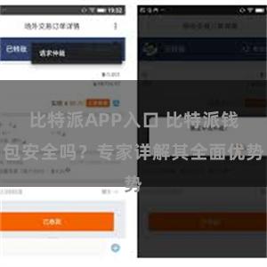 比特派APP入口 比特派钱包安全吗？专家详解其全面优势