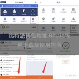 比特派钱包地址 Bitpie钱包下载及使用指南