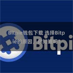 Bitpie钱包下载 选择Bitpie的原因，你知道吗？