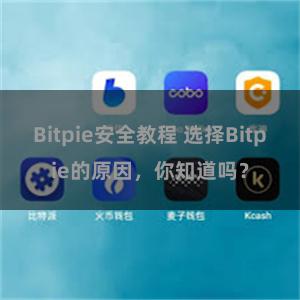 Bitpie安全教程 选择Bitpie的原因，你知道吗？