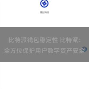 比特派钱包稳定性 比特派：全方位保护用户数字资产安全