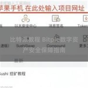 比特派教程 Bitpie数字资产安全保障指南