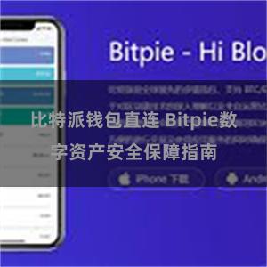 比特派钱包直连 Bitpie数字资产安全保障指南