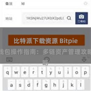 比特派下载资源 Bitpie钱包操作指南：多链资产管理攻略