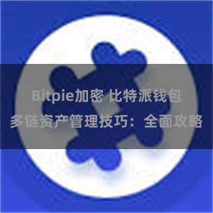 Bitpie加密 比特派钱包多链资产管理技巧：全面攻略