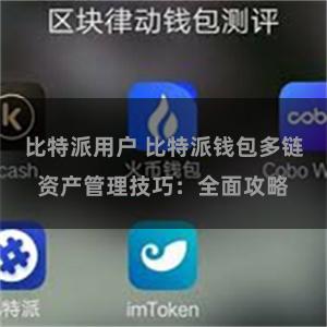 比特派用户 比特派钱包多链资产管理技巧：全面攻略