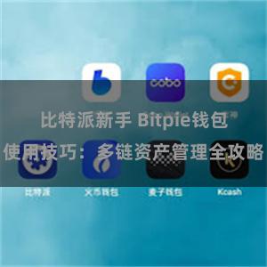 比特派新手 Bitpie钱包使用技巧：多链资产管理全攻略