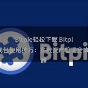 Bitpie轻松下载 Bitpie钱包使用技巧：多链资产管理全攻略