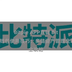 Bitpie APP直链 Bitpie钱包使用技巧：多链资产管理全攻略