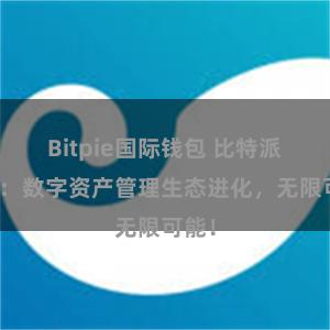 Bitpie国际钱包 比特派钱包：数字资产管理生态进化，无限可能！