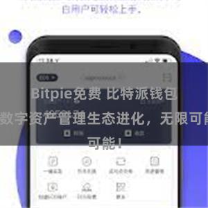 Bitpie免费 比特派钱包：数字资产管理生态进化，无限可能！