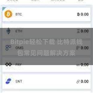 Bitpie轻松下载 比特派钱包常见问题解决方案