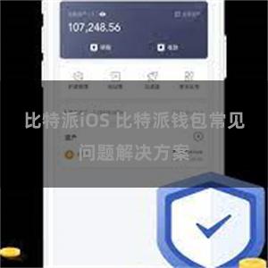 比特派iOS 比特派钱包常见问题解决方案