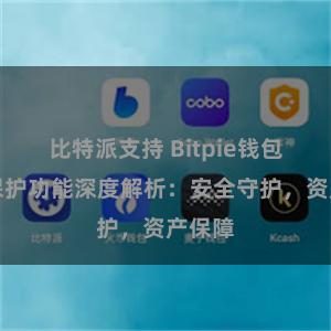 比特派支持 Bitpie钱包隐私保护功能深度解析：安全守护，资产保障