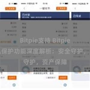 Bitpie支持 Bitpie钱包隐私保护功能深度解析：安全守护，资产保障