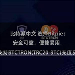 比特派中文 选择Bitpie：安全可靠，便捷易用。