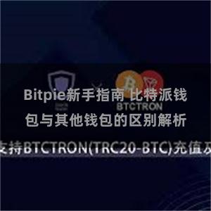 Bitpie新手指南 比特派钱包与其他钱包的区别解析