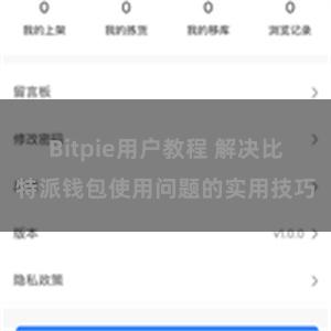 Bitpie用户教程 解决比特派钱包使用问题的实用技巧