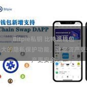 Bitpie私钥 比特派钱包：强大的隐私保护功能，让您资产更安全