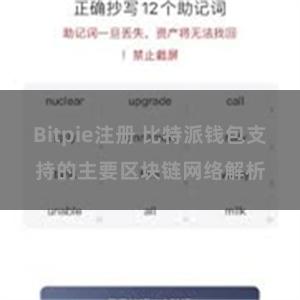 Bitpie注册 比特派钱包支持的主要区块链网络解析