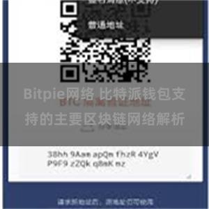 Bitpie网络 比特派钱包支持的主要区块链网络解析