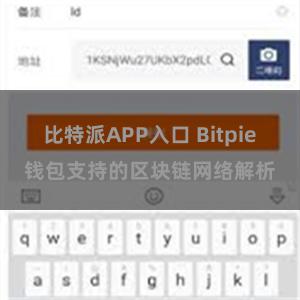 比特派APP入口 Bitpie钱包支持的区块链网络解析