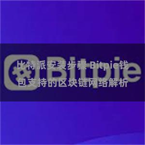 比特派安装步骤 Bitpie钱包支持的区块链网络解析