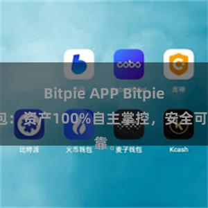 Bitpie APP Bitpie钱包：资产100%自主掌控，安全可靠。