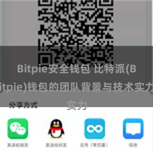 Bitpie安全钱包 比特派(Bitpie)钱包的团队背景与技术实力