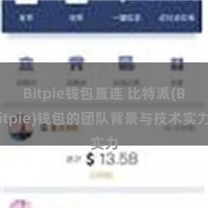 Bitpie钱包直连 比特派(Bitpie)钱包的团队背景与技术实力