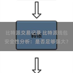 比特派交易记录 比特派钱包安全性分析：是否足够强大？