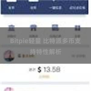 Bitpie轻量 比特派多币支持特性解析