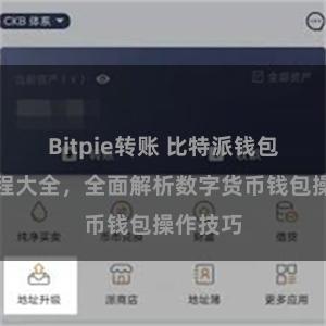 Bitpie转账 比特派钱包使用教程大全，全面解析数字货币钱包操作技巧