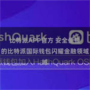 比特派APP官方 安全便捷的比特派国际钱包闪耀金融领域