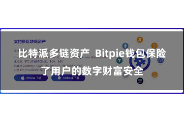 比特派多链资产  Bitpie钱包保险了用户的数字财富安全