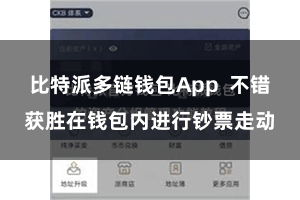 比特派多链钱包App  不错获胜在钱包内进行钞票走动